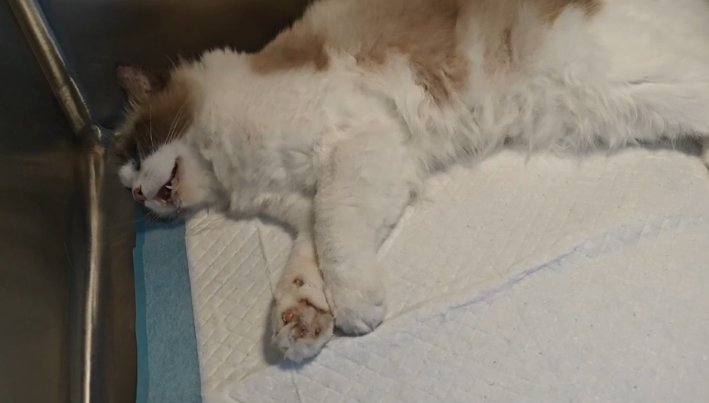 news-709-403 news-709-403